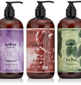 WEN-by-Chaz-Dean-WEN-Cleansing-Conditioner-5-Piece-Assortment-Kit-0